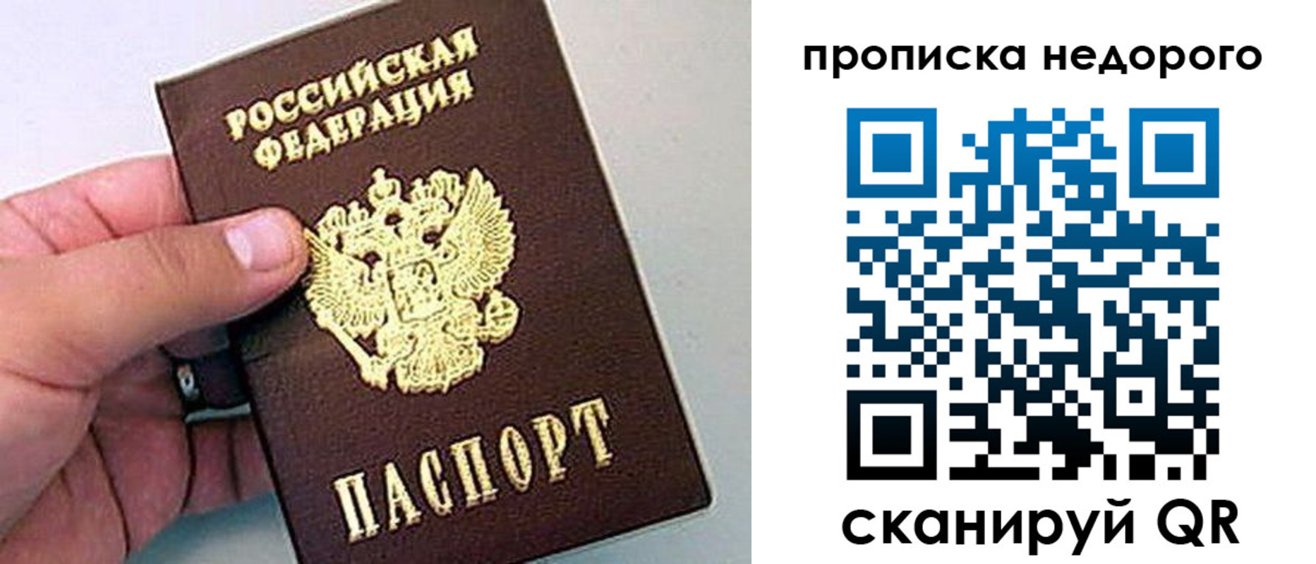 прописка для школы в Туле